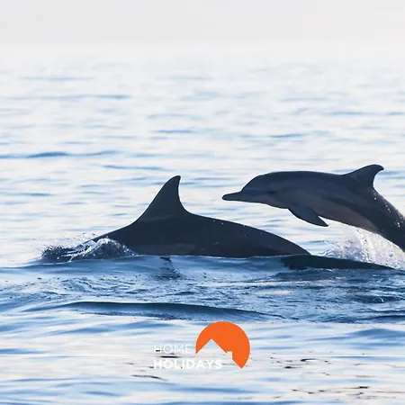 #178 Monte Churras 1 By Holidays * 阿尔布费拉