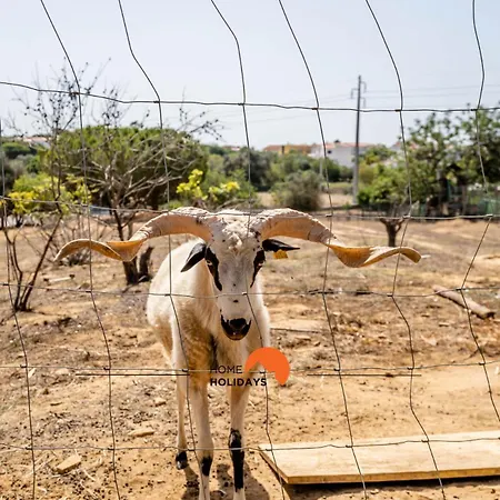 #178 Monte Churras 1 By Holidays 度假居 阿尔布费拉