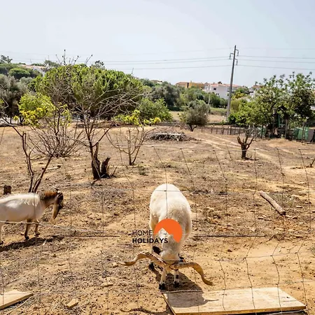 #178 Monte Churras 1 By Holidays