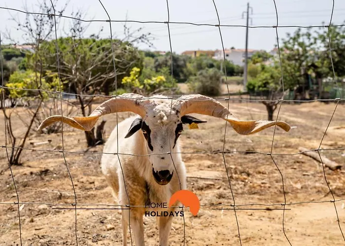 #178 Monte Churras 1 By Holidays Tatil Evi Albufeira