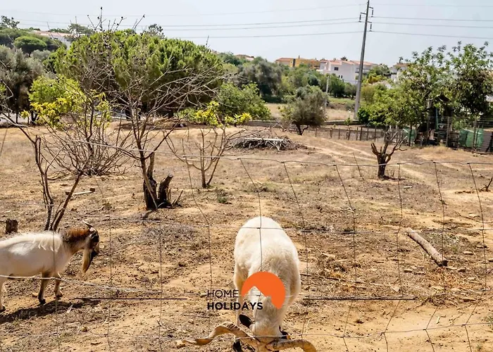 #178 Monte Churras 1 By Holidays